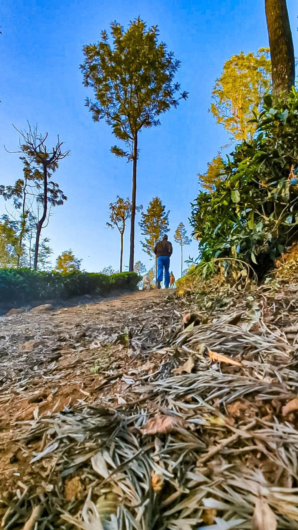 Valley View Inn, Kotagiri Kültér fotó